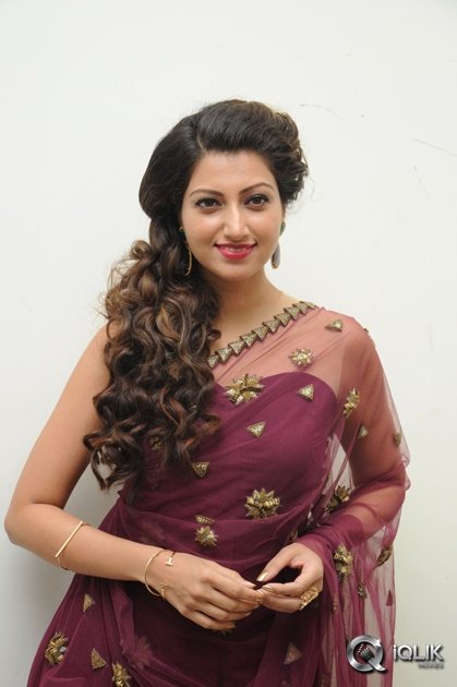 Hamsa-Nandini-at-Bengal-Tiger-Movie-Audio-Launch